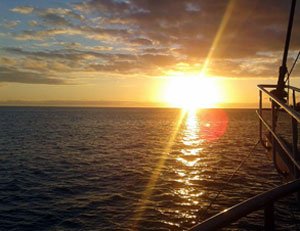 plus grand catamaran a voile exclusif
